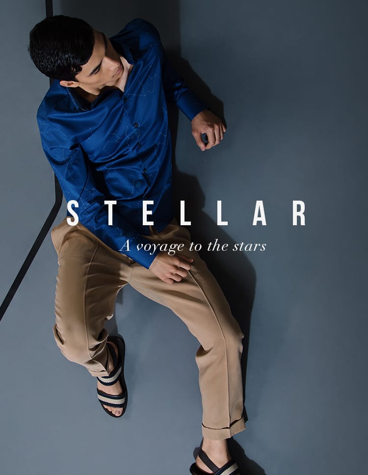Stellar Collection Stellar Collection