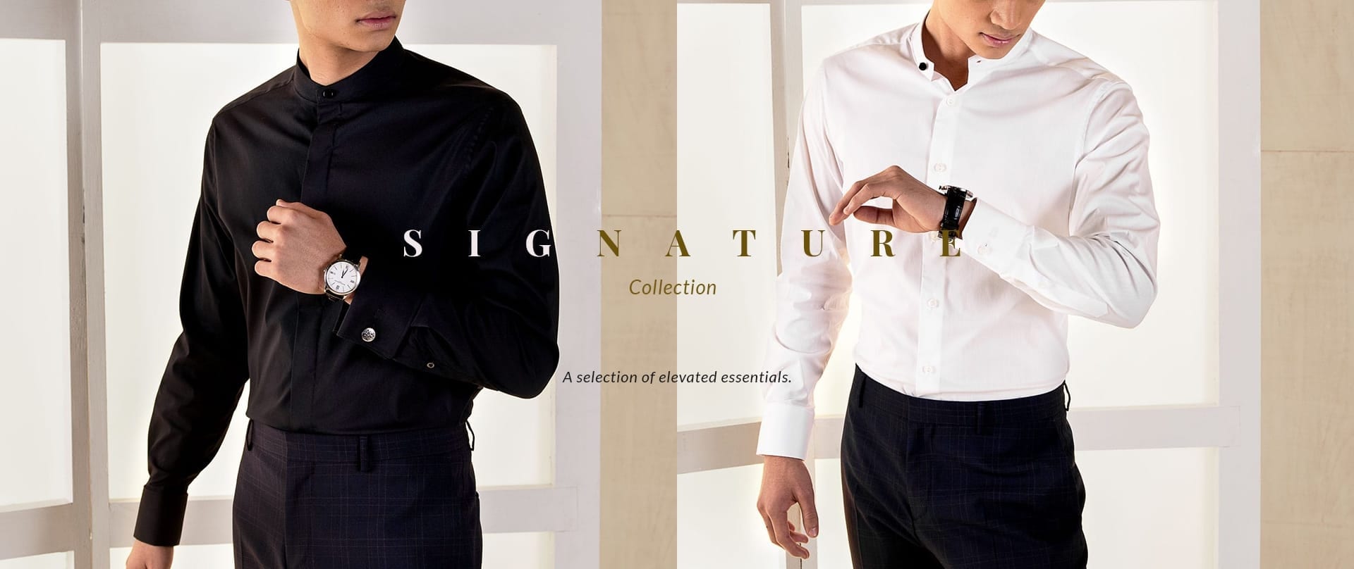 Signature Collection Signature Collection